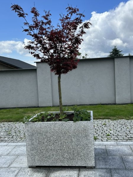 Elementy architektury ogrodowej 555